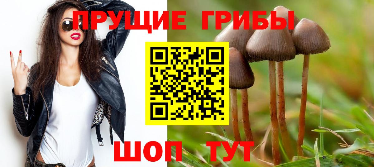 Кушва  Псилоцибиновые грибы Cubensis  Вход с VPN 
